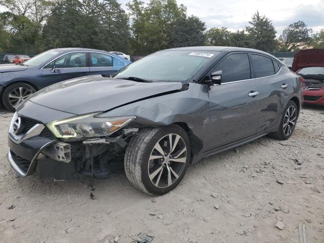 NISSAN MAXIMA 3.5 2017 with VIN 1N4AA6AP1HC370504 - Photo from auction