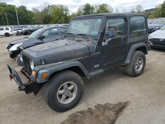 JEEP WRANGLER / 1997 with VIN 1J4FY29P4VP486190 - Photo from auction