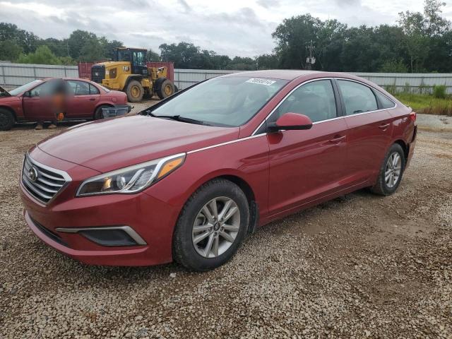 HYUNDAI SONATA SE 2016 with VIN 5NPE24AF4GH411814 - Photo from auction