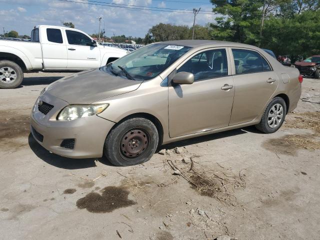 TOYOTA COROLLA BA 2010 with VIN 2T1BU4EE5AC325114 - Photo from auction