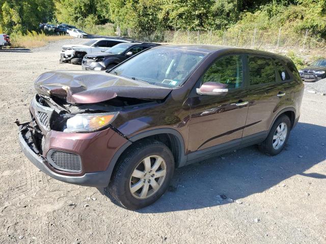 Photo 1 from auction – 2013 KIA SORENTO LX with VIN 5XYKTCA69DG403611