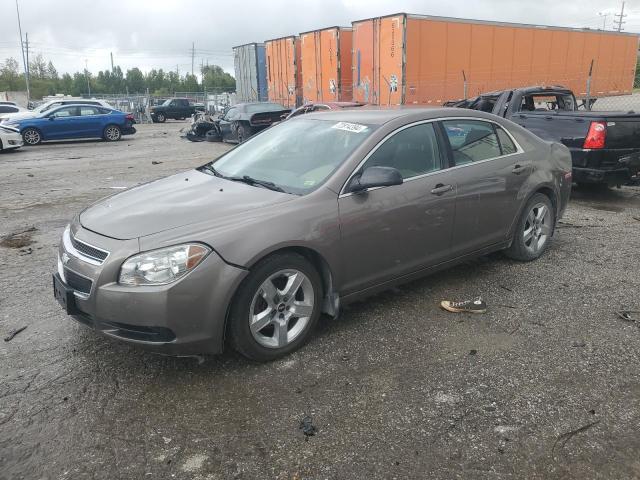 CHEVROLET MALIBU LS 2011 with VIN 1G1ZB5E15BF205385 - Photo from auction