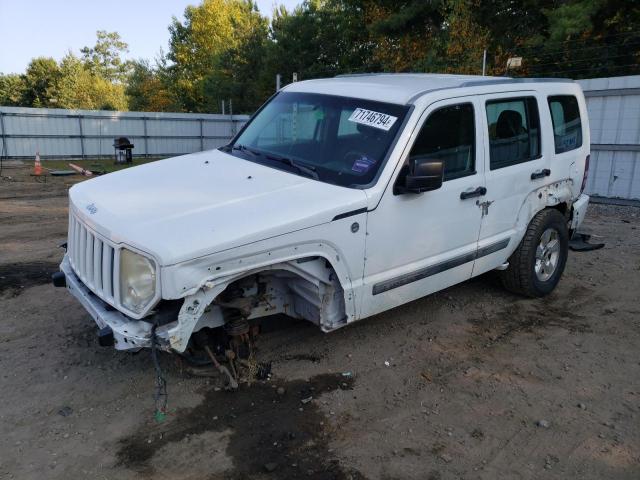 JEEP LIBERTY SP 2011 with VIN 1J4PN2GK8BW521335 - Photo from auction