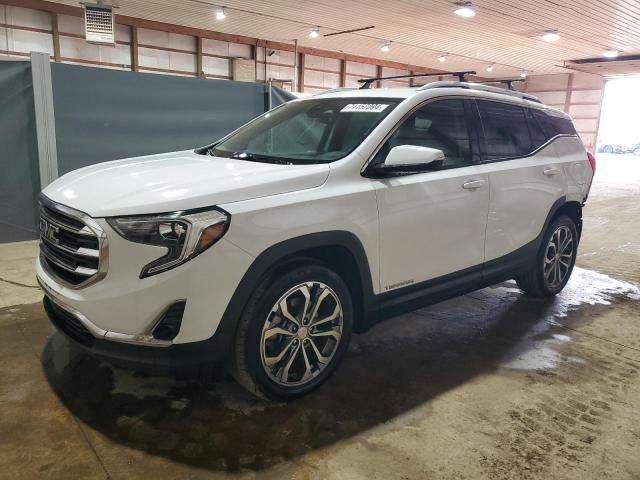 GMC TERRAIN 2020 with VIN 3GKALVEX0LL138101 - Photo from auction
