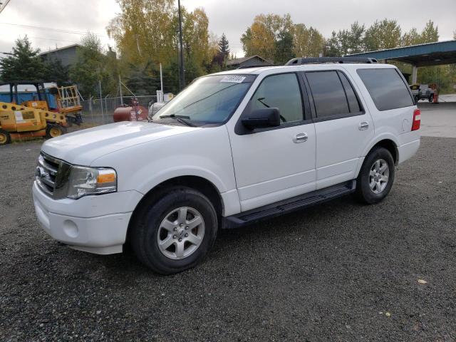 FORD EXPEDITION 2010 with VIN 1FMJU1G50AEB20882 - Photo from auction