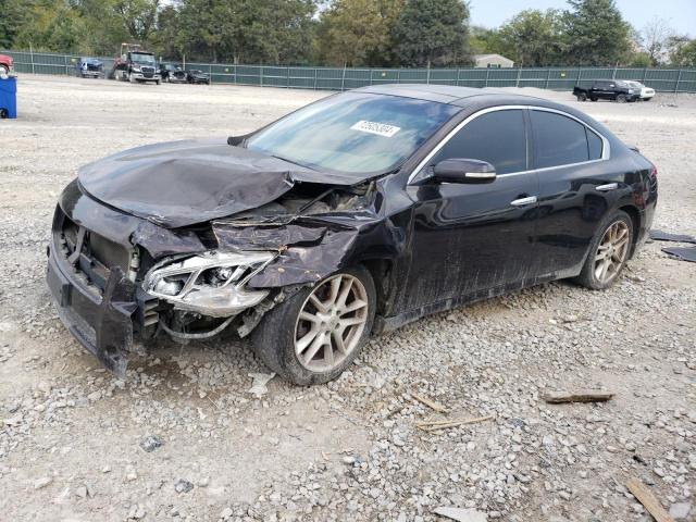 Photo 1 from auction – 2010 NISSAN MAXIMA S with VIN 1N4AA5APXAC802264