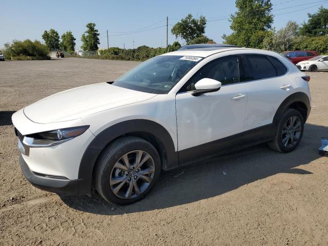 MAZDA CX-30 PREM 2023 with VIN 3MVDMBDM8PM514859 - Photo from auction