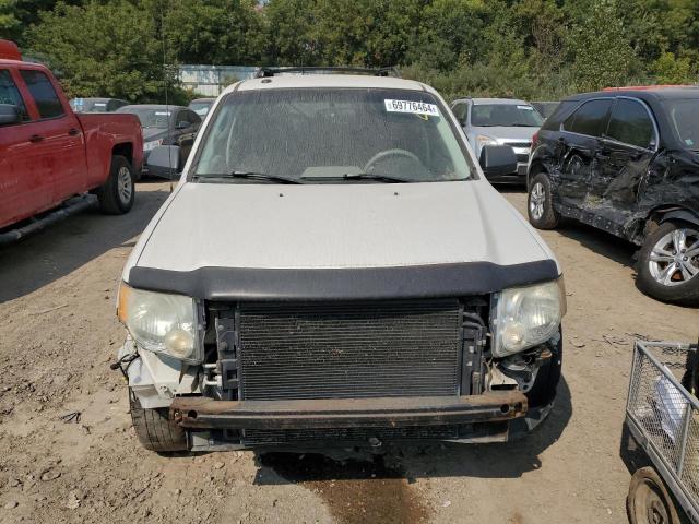 Photo 5 from auction – 2010 FORD ESCAPE XLT with VIN 1FMCU9DG2AKA07000