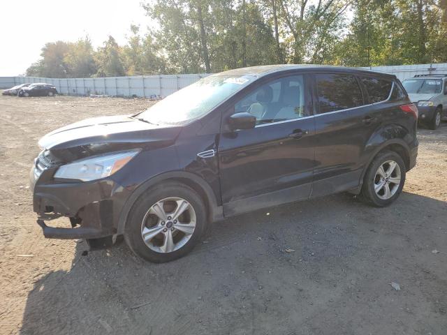FORD ESCAPE SE 2016 with VIN 1FMCU0GX5GUA51626 - Photo from auction