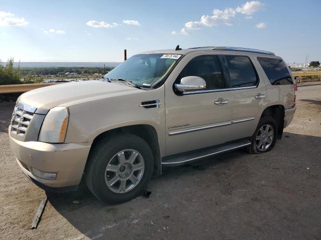 CADILLAC ESCALADE 2007 with VIN 1GYFK638X7R149461 - Photo from auction