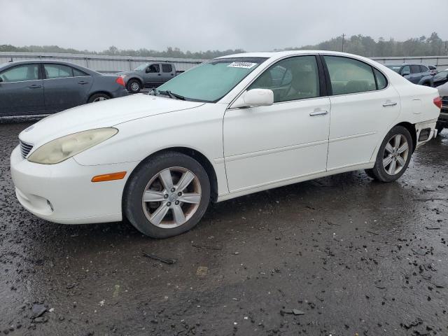 LEXUS ES 330 2005 with VIN JTHBA30G255091558 - Photo from auction