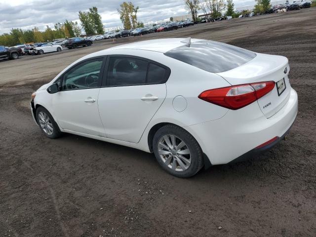 Photo 2 from auction – 2014 KIA FORTE LX with VIN KNAFX4A61E5077063