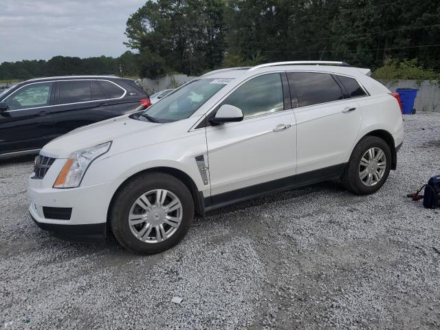 Photo 1 from auction – 2011 CADILLAC SRX LUXURY with VIN 3GYFNAEY9BS630699