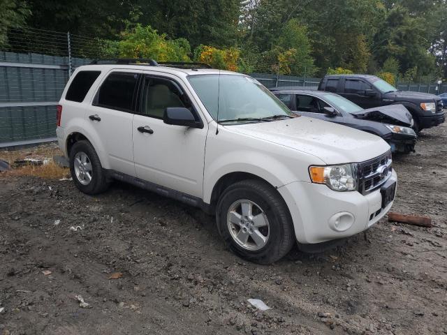 Photo 4 from auction – 2009 FORD ESCAPE XLT with VIN 1FMCU93G49KA13734
