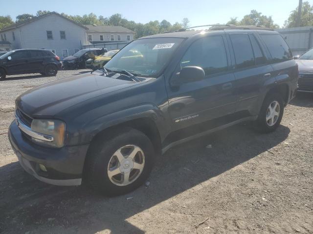 CHEVROLET TRAILBLAZE 2003 with VIN 1GNDT13S832225018 - Photo from auction