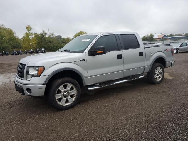 FORD F150 SUPER 2009 with VIN 1FTPW14VX9FA41495 - Photo from auction