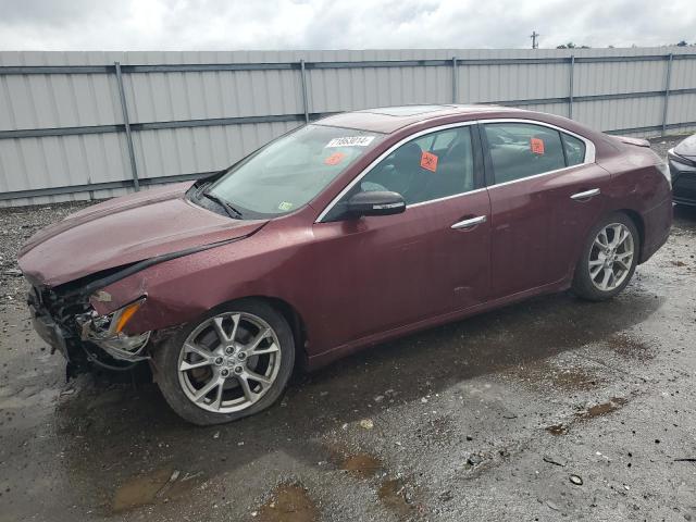 NISSAN MAXIMA 2013 with VIN 1N4AA5AP4DC825432 - Photo from auction