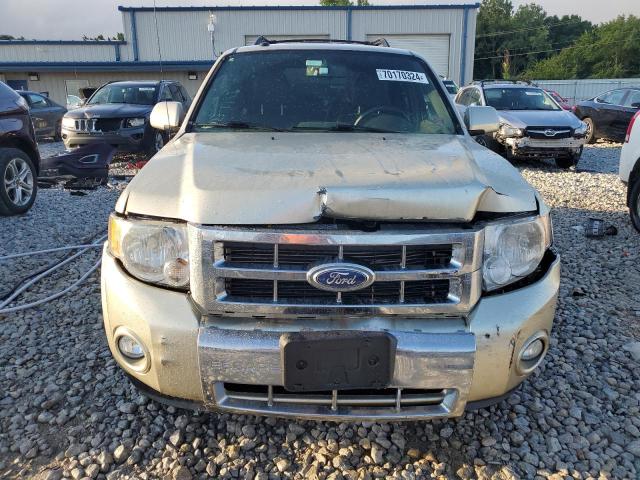 Photo 5 from auction – 2011 FORD ESCAPE LIM with VIN 1FMCU0EG1BKA56779