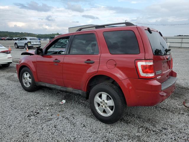 Photo 2 from auction – 2010 FORD ESCAPE XLT with VIN 1FMCU9D71AKC22724