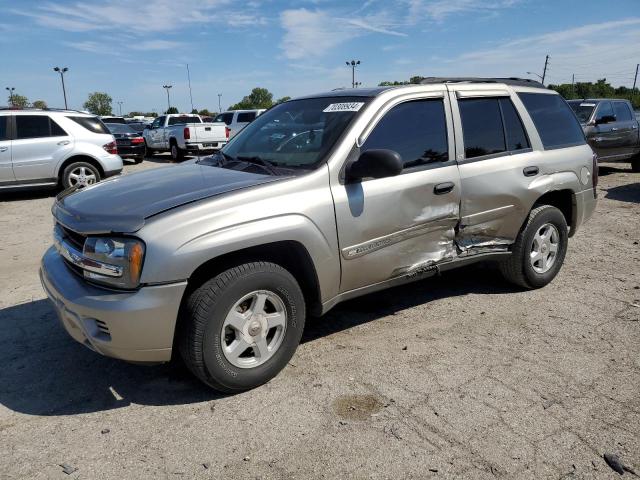 CHEVROLET TRAILBLAZE 2002 with VIN 1GNDT13S122298973 - Photo from auction