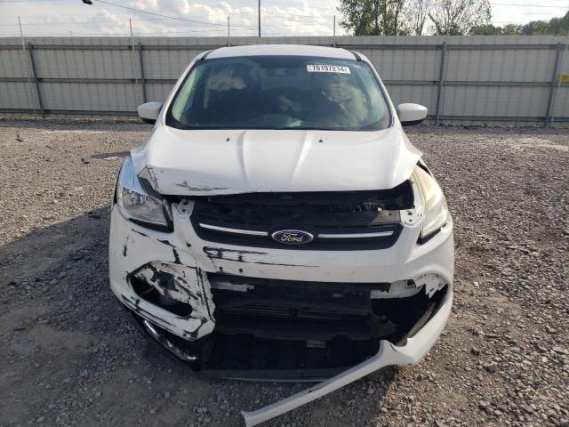 Photo 5 from auction – 2014 FORD ESCAPE SE with VIN 1FMCU9GX9EUC60692