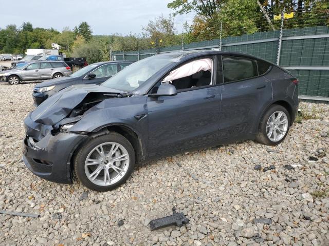 TESLA MODEL Y 2023 with VIN 7SAYGDEEXPA202737 - Photo from auction