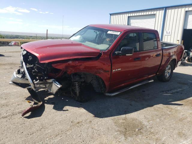 DODGE RAM 1500 2009 with VIN 1D3HV13T89J508618 - Photo from auction