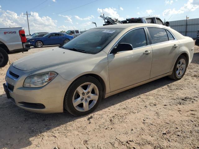 CHEVROLET MALIBU LS 2011 with VIN 1G1ZB5E17BF277141 - Photo from auction