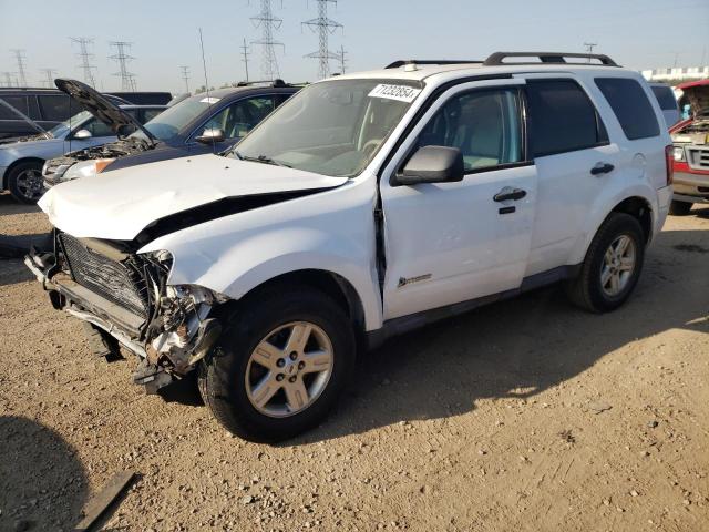 FORD ESCAPE HYB 2010 with VIN 1FMCU5K37AKD33447 - Photo from auction