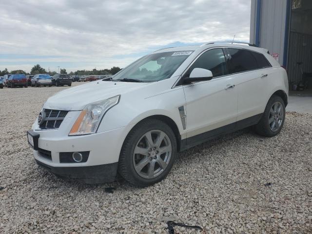 CADILLAC SRX PREMIU 2010 with VIN 3GYFNKE47AS574103 - Photo from auction