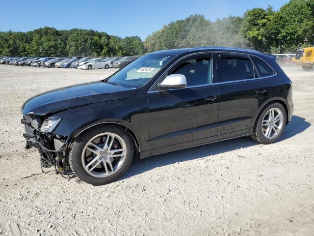 AUDI SQ5 PREMIU 2014 with VIN WA1CGAFP7EA012127 - Photo from auction