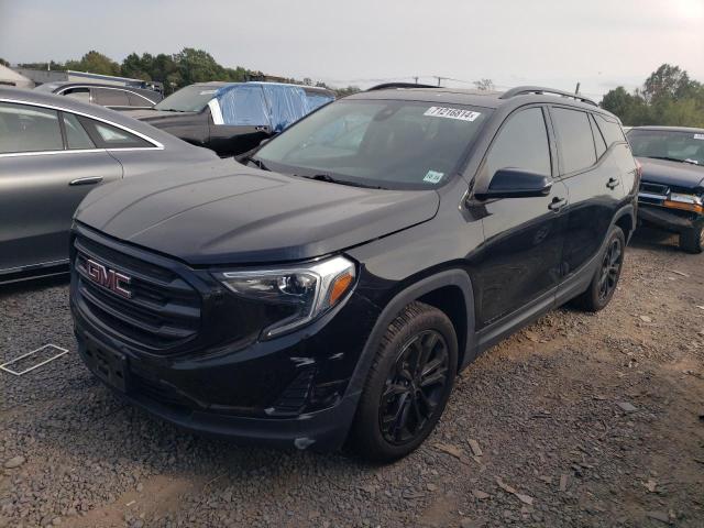 GMC TERRAIN SL 2020 with VIN 3GKALTEVXLL159492 - Photo from auction
