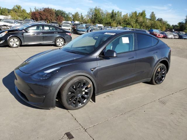 TESLA MODEL Y 2024 with VIN 7SAYGAEE2RF080993 - Photo from auction