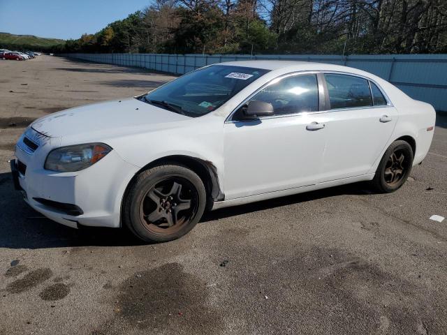 CHEVROLET MALIBU 2011 with VIN 1G1ZB5E19BF247493 - Photo from auction