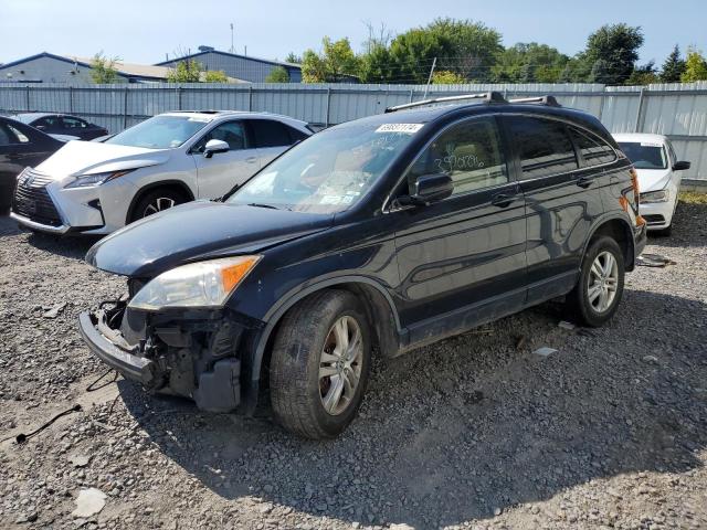 Photo 1 from auction – 2011 HONDA CR-V EXL with VIN JHLRE4H74BC020399
