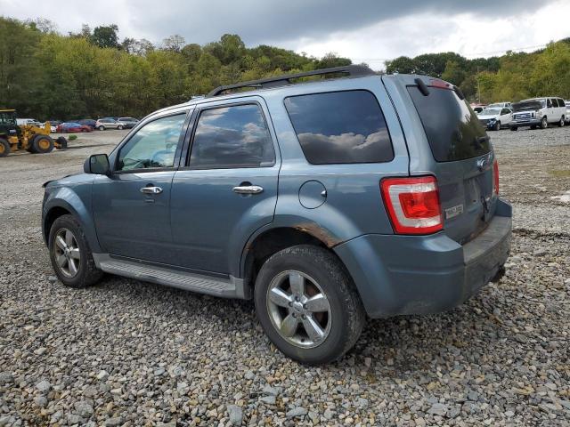 Photo 2 from auction – 2010 FORD ESCAPE XLT with VIN 1FMCU0DG1AKA72707