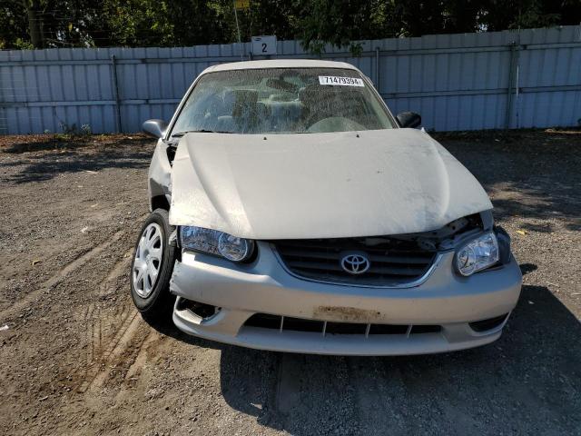Photo 5 from auction – 2001 TOYOTA COROLLA CE with VIN 2T1BR12E61C846489