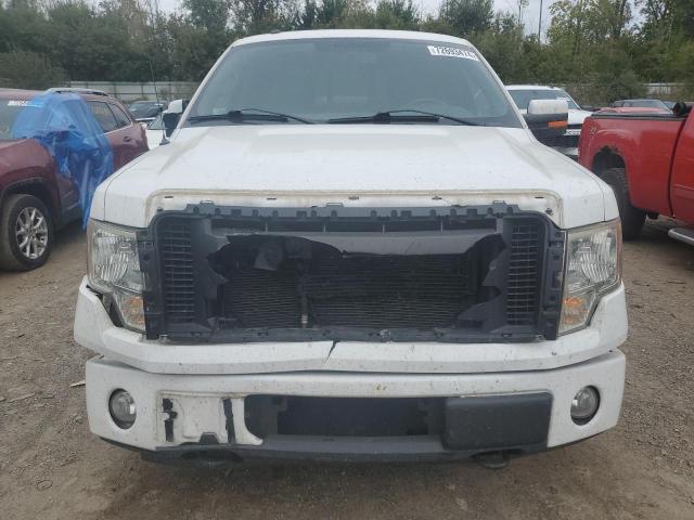 Photo 5 from auction – 2010 FORD F150 SUPER with VIN 1FTFW1EV0AFD96352