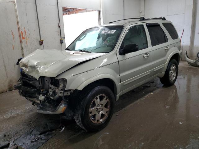 FORD ESCAPE LIM 2005 with VIN 1FMYU04145KA78041 - Photo from auction
