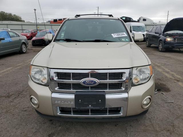 Photo 5 from auction – 2010 FORD ESCAPE LIM with VIN 1FMCU0EG6AKB22063