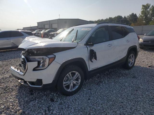 GMC TERRAIN SL 2023 with VIN 3GKALTEGXPL269756 - Photo from auction