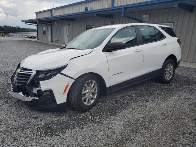 CHEVROLET EQUINOX LS 2023 with VIN 3GNAXHEG4PL237681 - Photo from auction