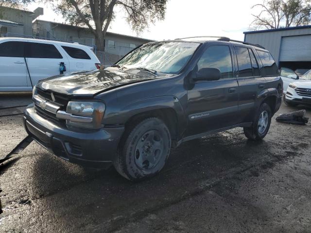 Photo 1 from auction – 2004 CHEVROLET TRAILBLAZE with VIN 1GNDT13S542388274