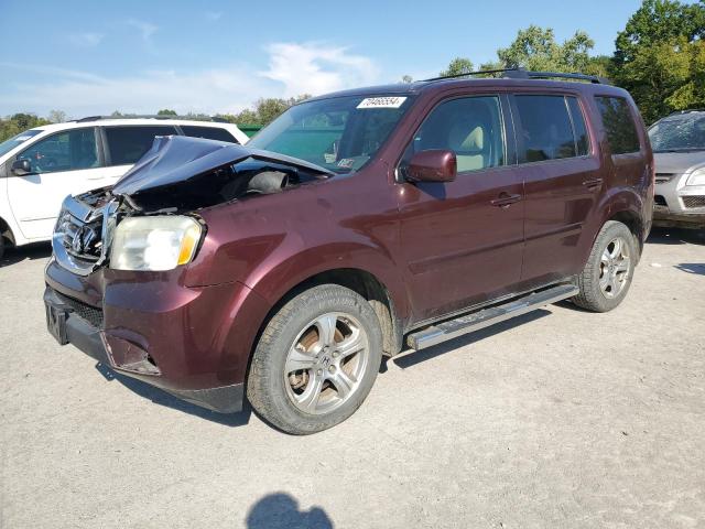 HONDA PILOT EX 2013 with VIN 5FNYF4H41DB083946 - Photo from auction