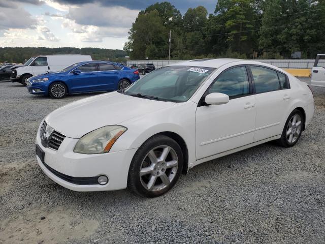 NISSAN MAXIMA SE 2006 with VIN 1N4BA41E86C815390 - Photo from auction