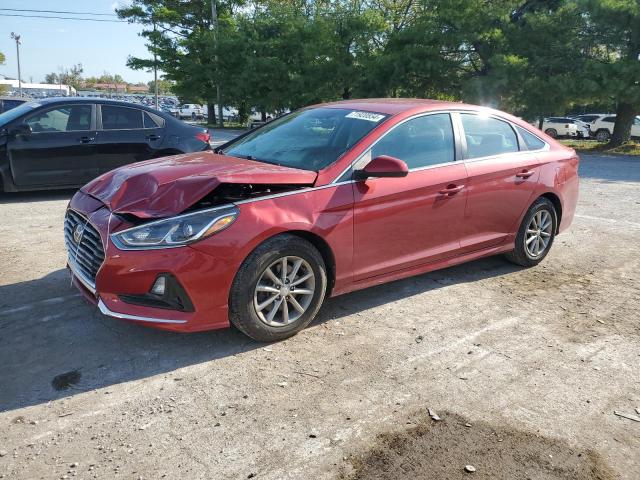 HYUNDAI SONATA SE 2019 with VIN 5NPE24AF1KH760745 - Photo from auction