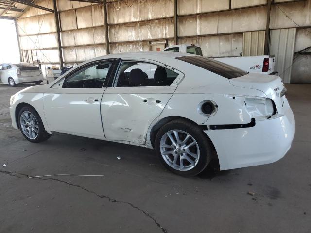 Photo 2 from auction – 2009 NISSAN MAXIMA S with VIN 1N4AA51E79C851495