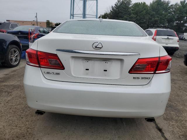 Photo 6 from auction – 2010 LEXUS ES 350 with VIN JTHBK1EGXA2404913