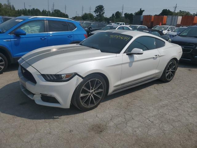 FORD MUSTANG 2017 with VIN 1FA6P8TH4H5226973 - Photo from auction