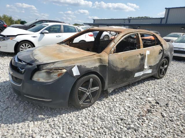 CHEVROLET MALIBU 1LT 2010 with VIN 1G1ZC5EB7AF234732 - Photo from auction
